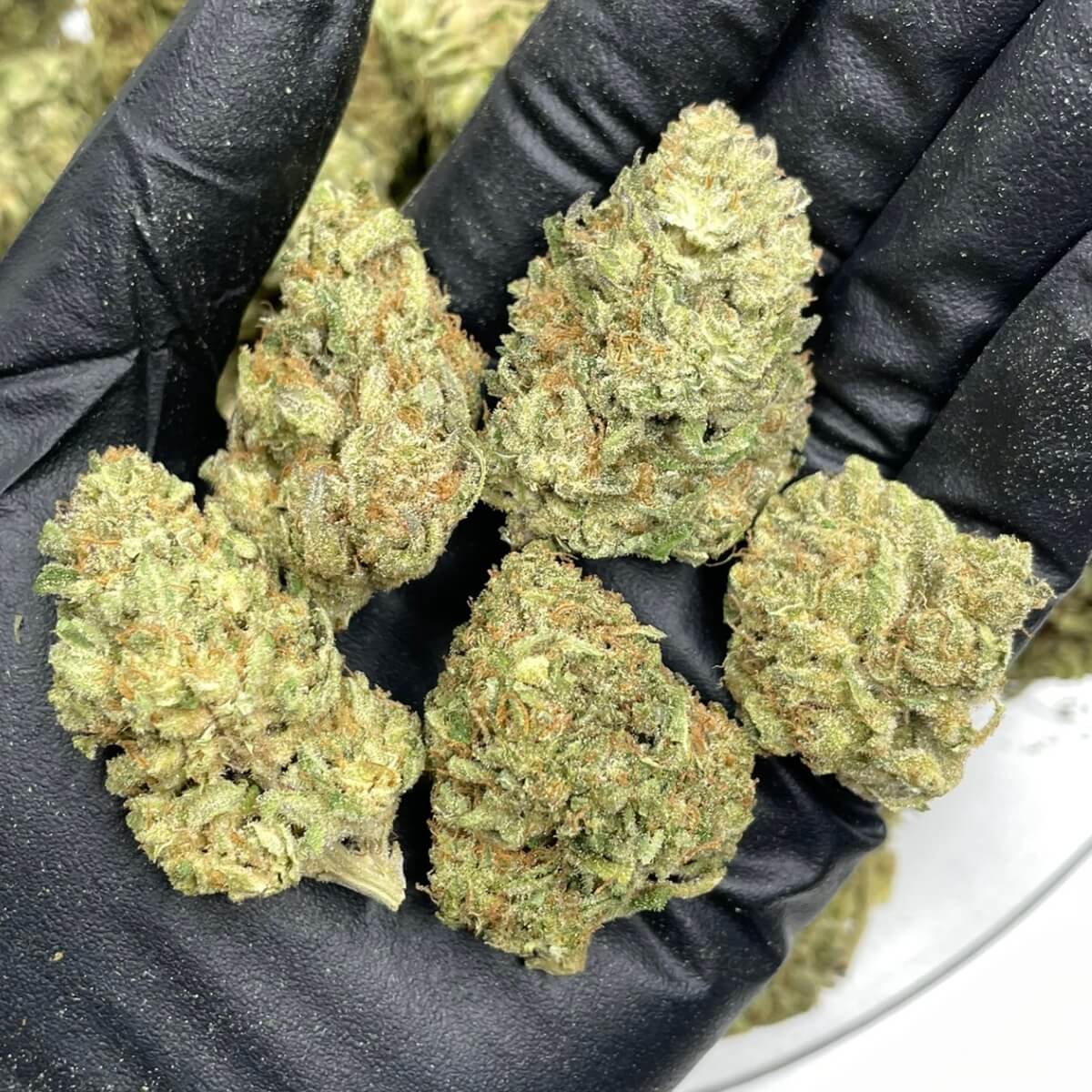 top-shelf